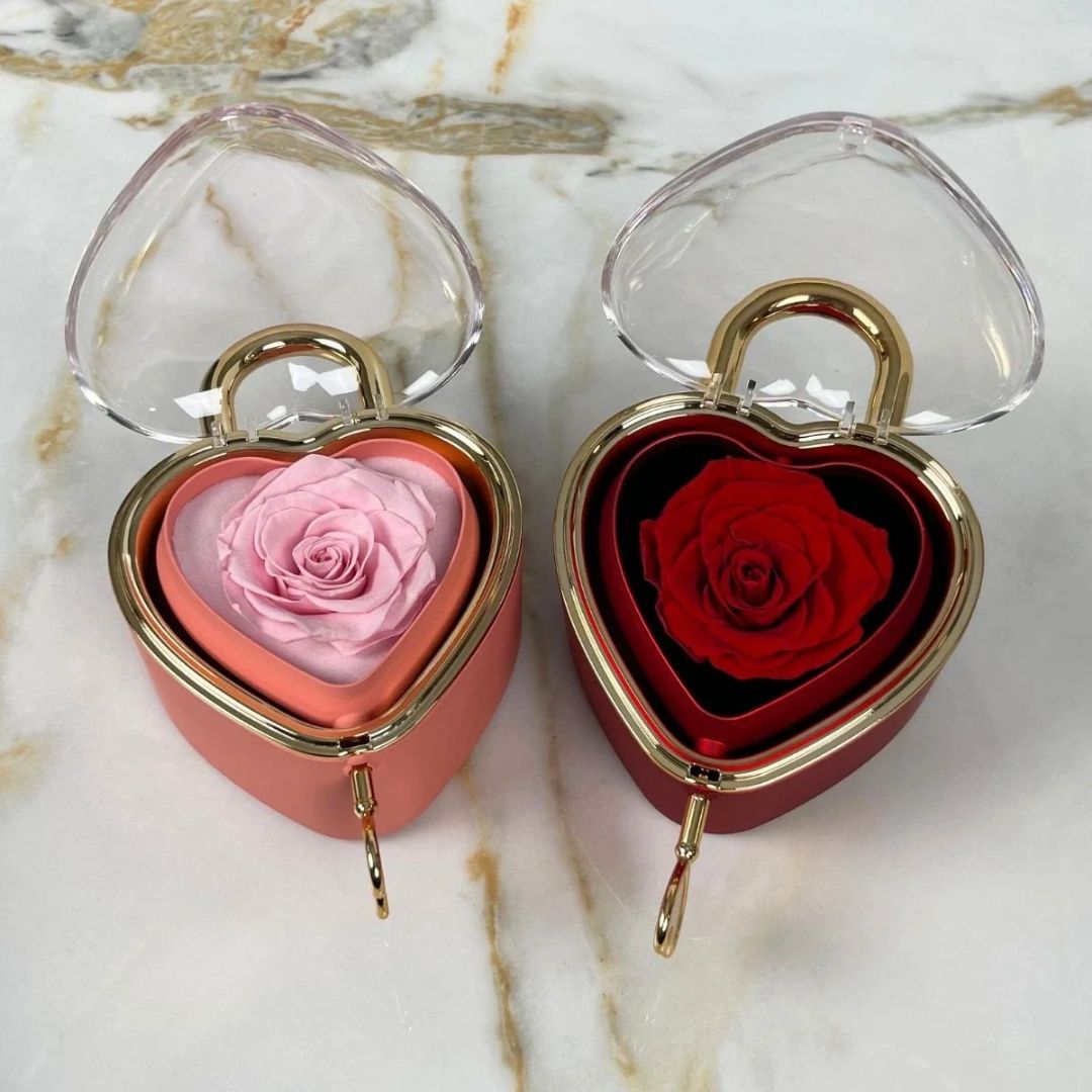 Candado eterno y collar personalizado - Moroveta